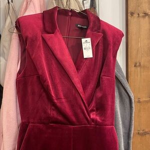 Express Deep Red Velvet Sleeveless Dress